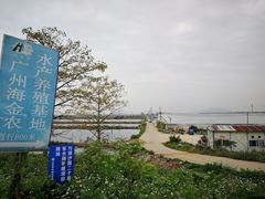 -大湾区中央湿地公园-十九涌