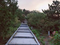 -鬼笑石后山停车场