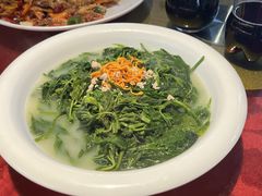 -大树头森林餐厅(番禺广场店)