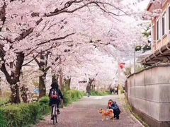 -邓记一品生煎(奥克斯广场店)