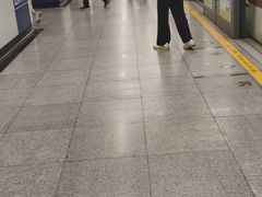 -东方体育中心(地铁站)