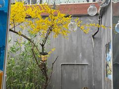 -后海16号·北京私房菜