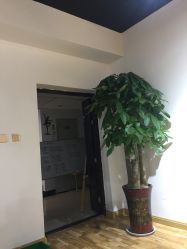 -明洞造型精品烫染