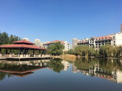 -沈阳于洪碧桂园凤凰酒店