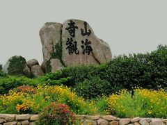 -枸杞岛