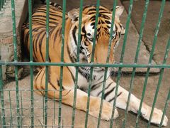 -揭东万竹园旅游景区