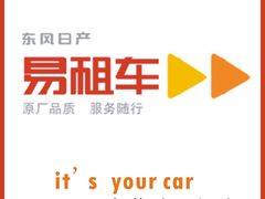 -东风日产东莞东风南方(塘厦专营店)