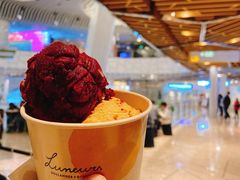 -LUNEURS月乐诗·法式冰淇淋(环贸店)