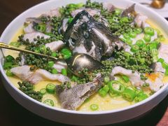 青青椒麻龙胆鱼-CHIC1699远洋私厨