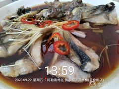 -煲来饱去冷水鱼