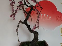 -颐和园