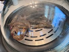 -青蓬蒸汽海鲜·深圳老字号·团建聚会(壹方城店)