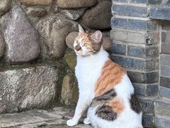 -龙华寺