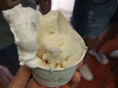榴莲-柠檬车露(卖草地店)