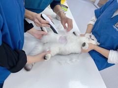 -康成宠物医院24H·CT·核磁共振