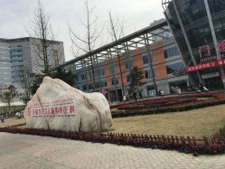 -成都市妇女儿童中心医院(中心院区)