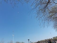 -丁香湖公园