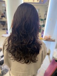 -镁连社·美联社