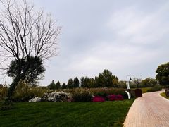 -圣露庄园·露营·烤肉·亲子