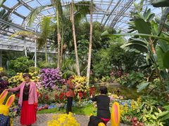 -北京植物园-展览温室