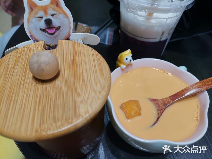 逗柴咖啡屋·狗咖猫咖宠物桌游图片