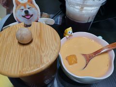 -逗柴咖啡屋·狗咖猫咖宠物桌游
