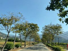 -广州市石门国家森林公园