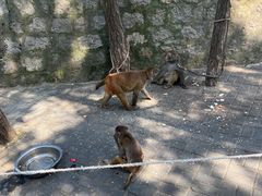-洛阳花果山景区
