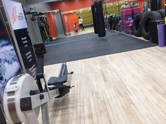 -健身专家Wellness Experts