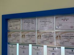 -韦伯科创·少儿编程·乐高·机器人(新光华教育中心)