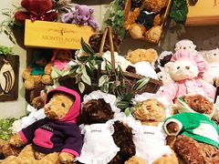 -济州岛泰迪熊博物馆