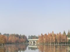 -白鹭湾湿地公园