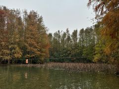 -上海海湾国家森林公园