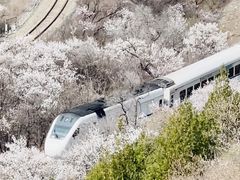 -居庸关长城