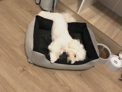 -FAELING PETS美天灵宠物(富力广场店)