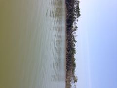 iphone_upload_pic-东寨港红树林旅游区