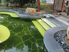 -东海森林温泉