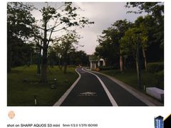 -王借岗森林公园