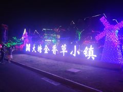 -大塘金香草谷