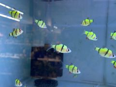 -大润发(姑嫂树店)