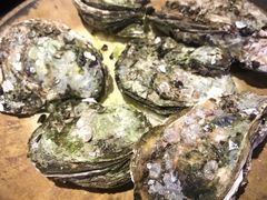 -蠔爺王志德生蚝馆(金沙湾店)