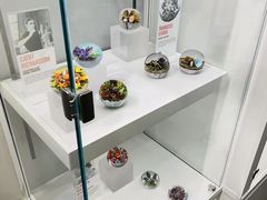 -康宁玻璃博物馆
