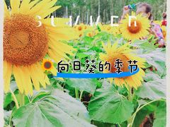 -哈尔滨大剧院