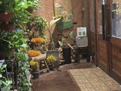 -紫藤燕语(兴澄银座店)