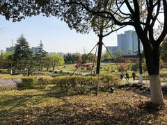 -白塘生态植物园