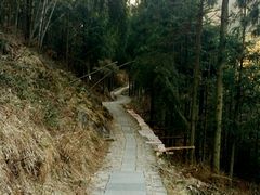 -东天目山风景区