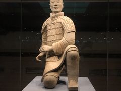 -秦始皇帝陵博物院(兵马俑)