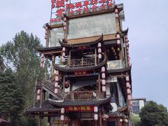 -印象鲵宴·张家界地标美食名片(溪布街店)