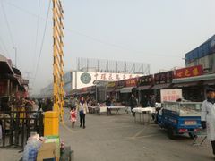 -中环花鸟鱼虫市场