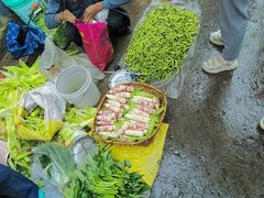 -南门绿玉农贸市场